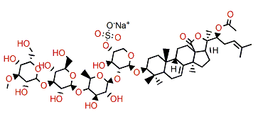 Typicoside B1